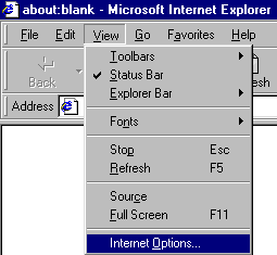 View -- Internet Options